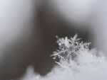 雪花             