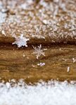 雪花             