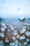 雪花             