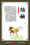 插秧农耕文化