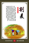 割麦农耕文化