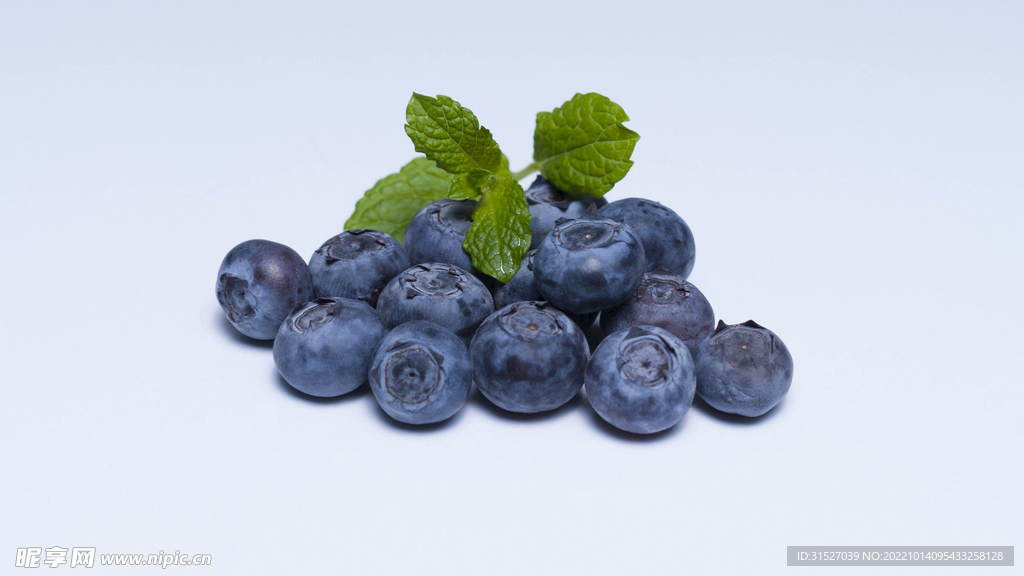 蓝莓图片素材