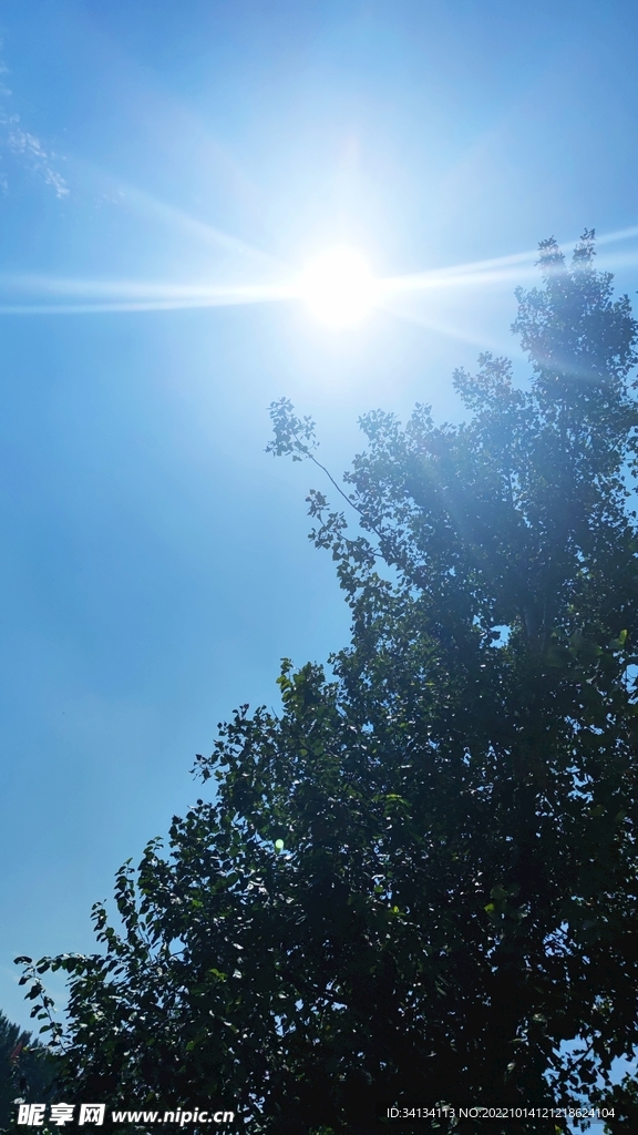 夏