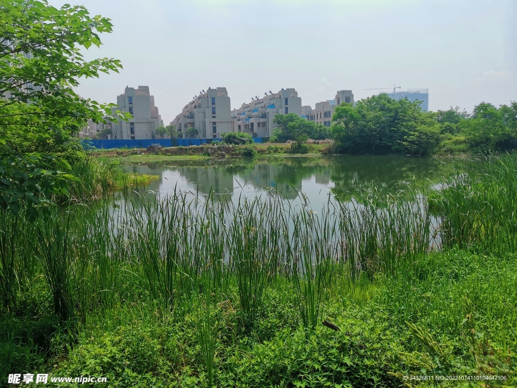 城中自然小景