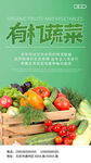  有机蔬菜农产品H5海报