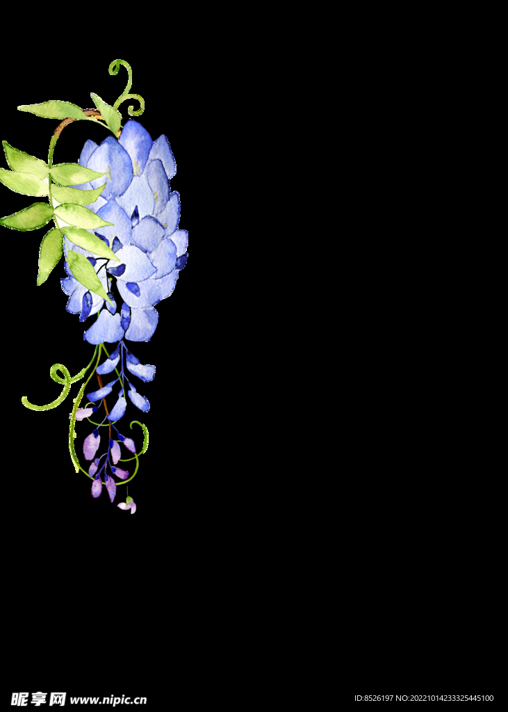 花卉背景 