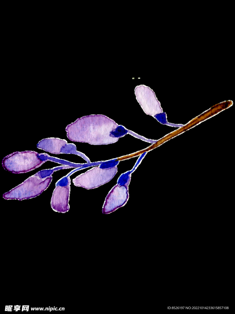 花卉背景 