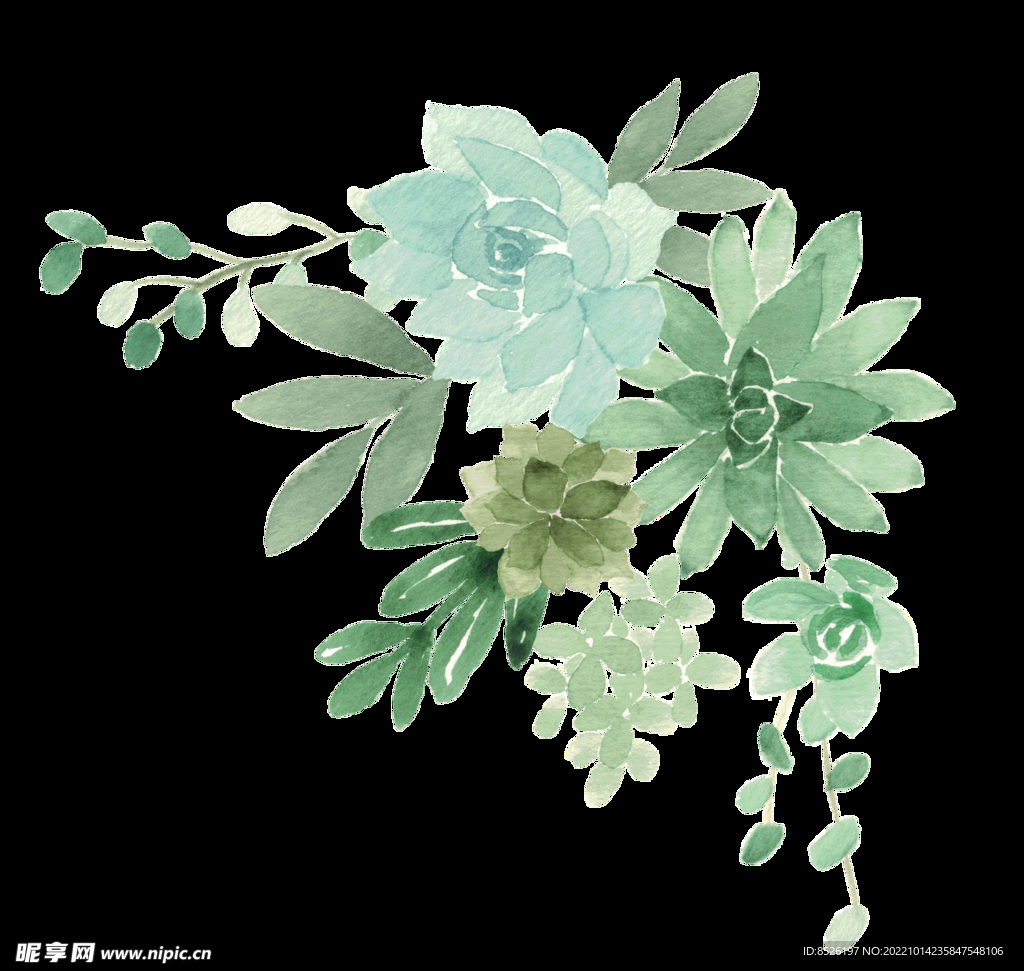 手绘花卉
