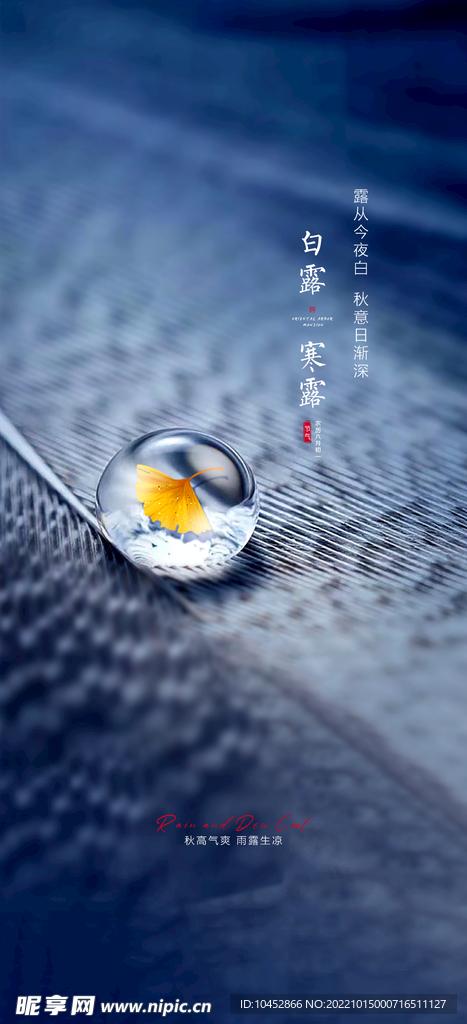寒露