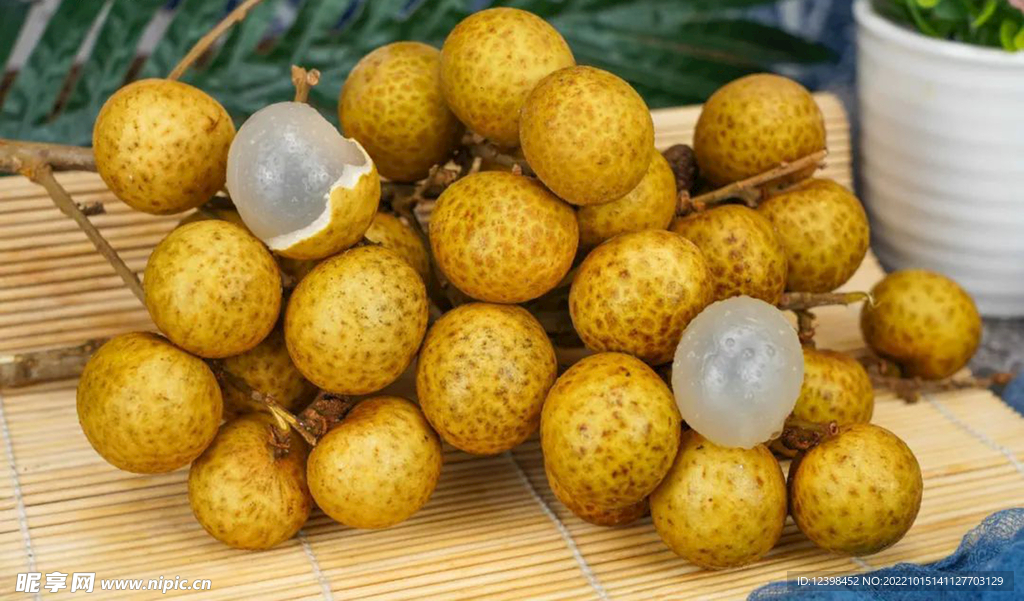 桂圆