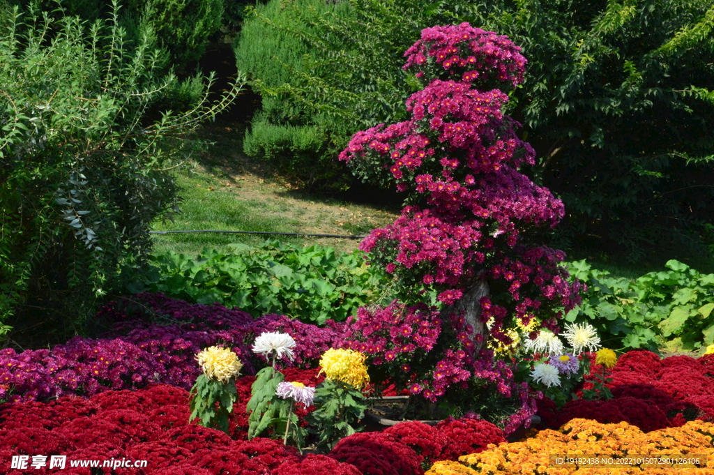 花坛风景 