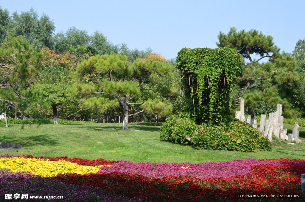 花坛风景  