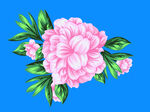 数码 一牡丹花丛