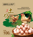 鸡蛋盒包装