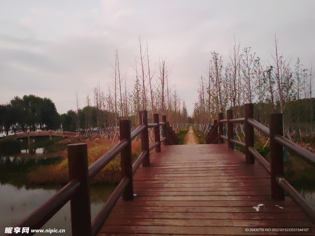 秋天林间小木桥