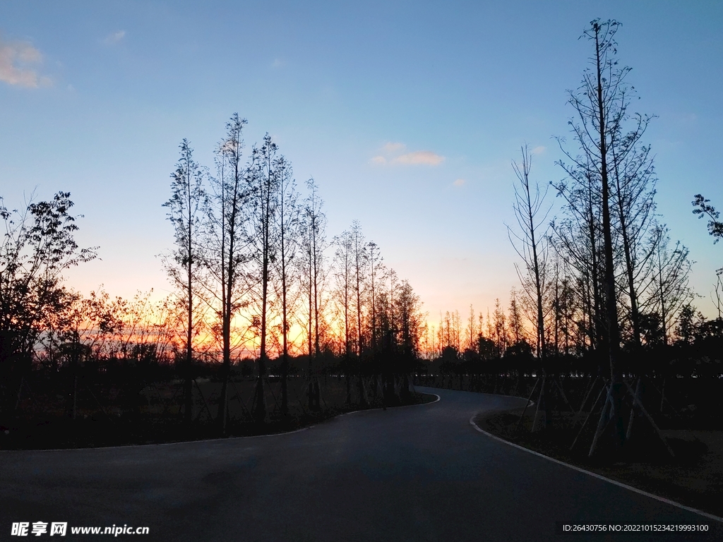 夕阳下林间公路