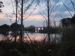 夕阳下林间小石桥