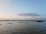 湿地湖泊风光
