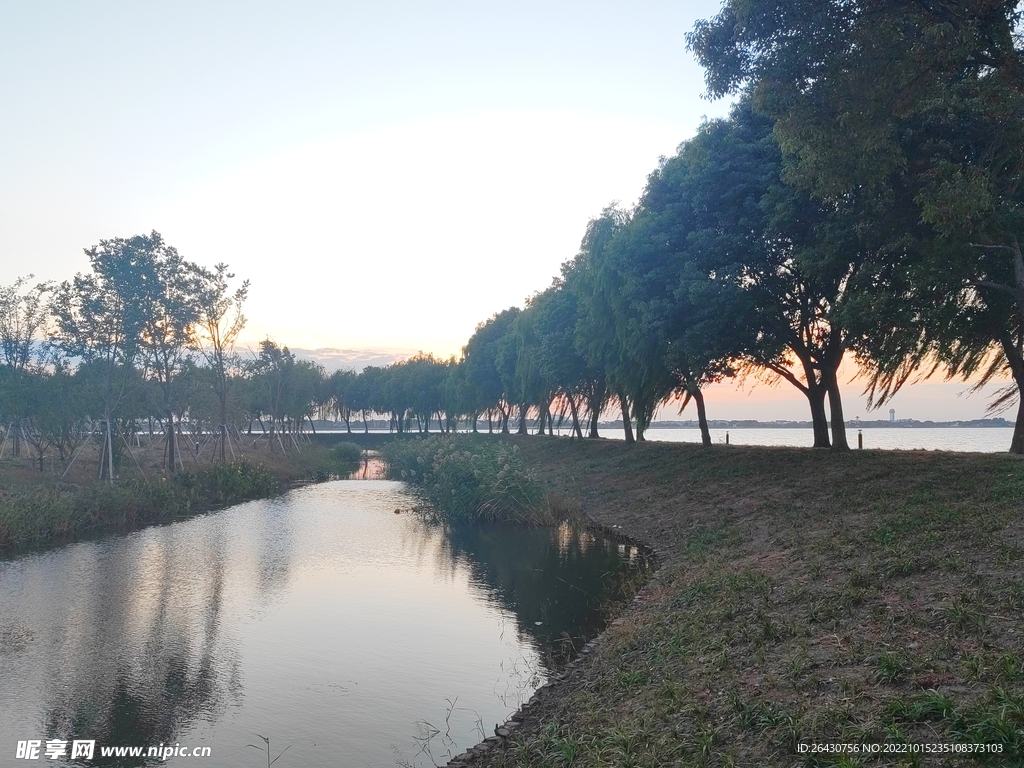 湿地公园杨柳岸堤坝