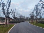 林间沥青水泥路
