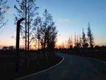 黄昏下公路路灯