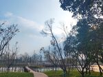 林间小路小桥流水健身步道