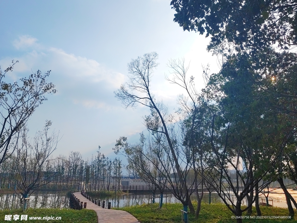 林间小路小桥流水健身步道