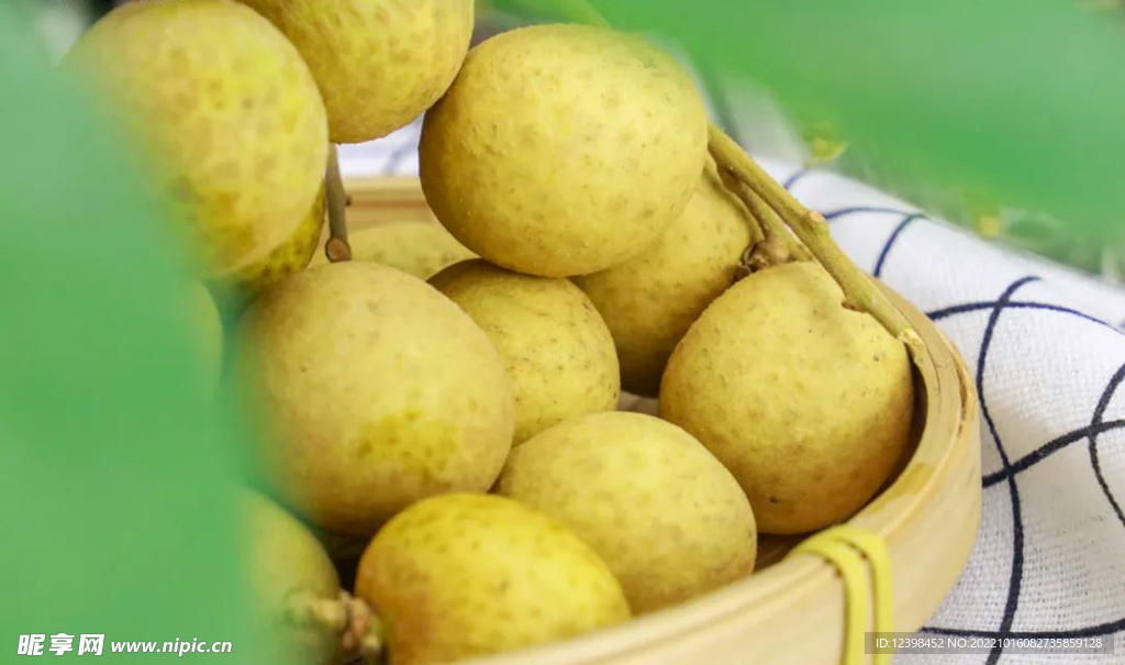 桂圆