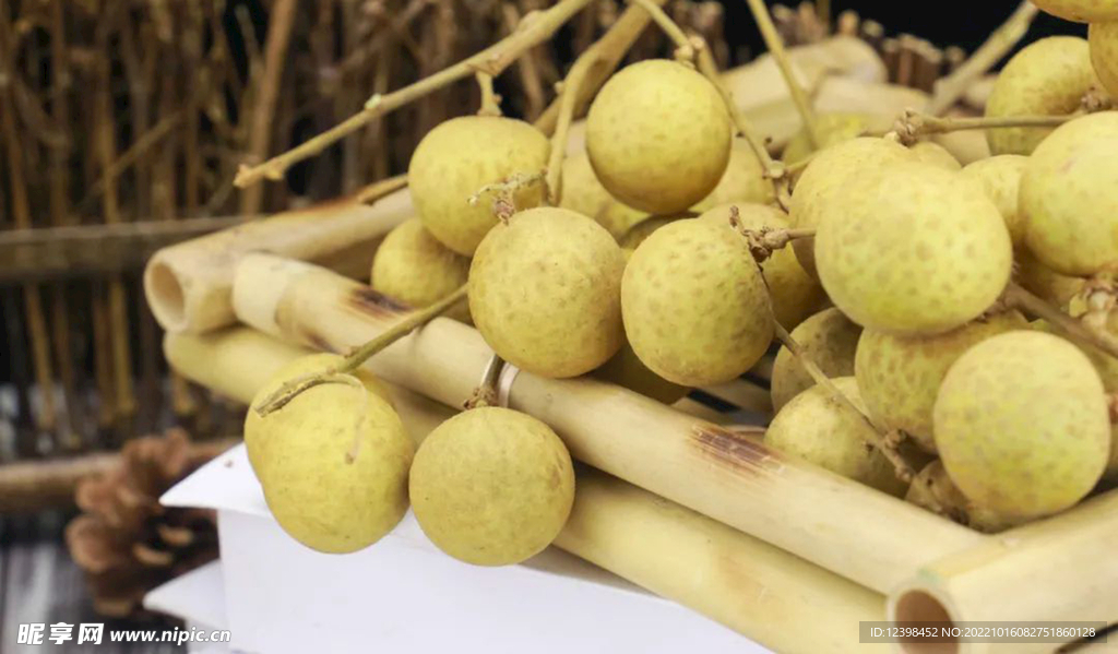 桂圆