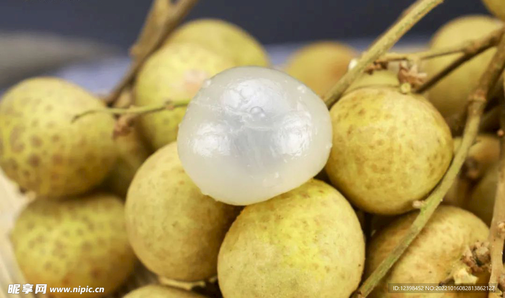 桂圆