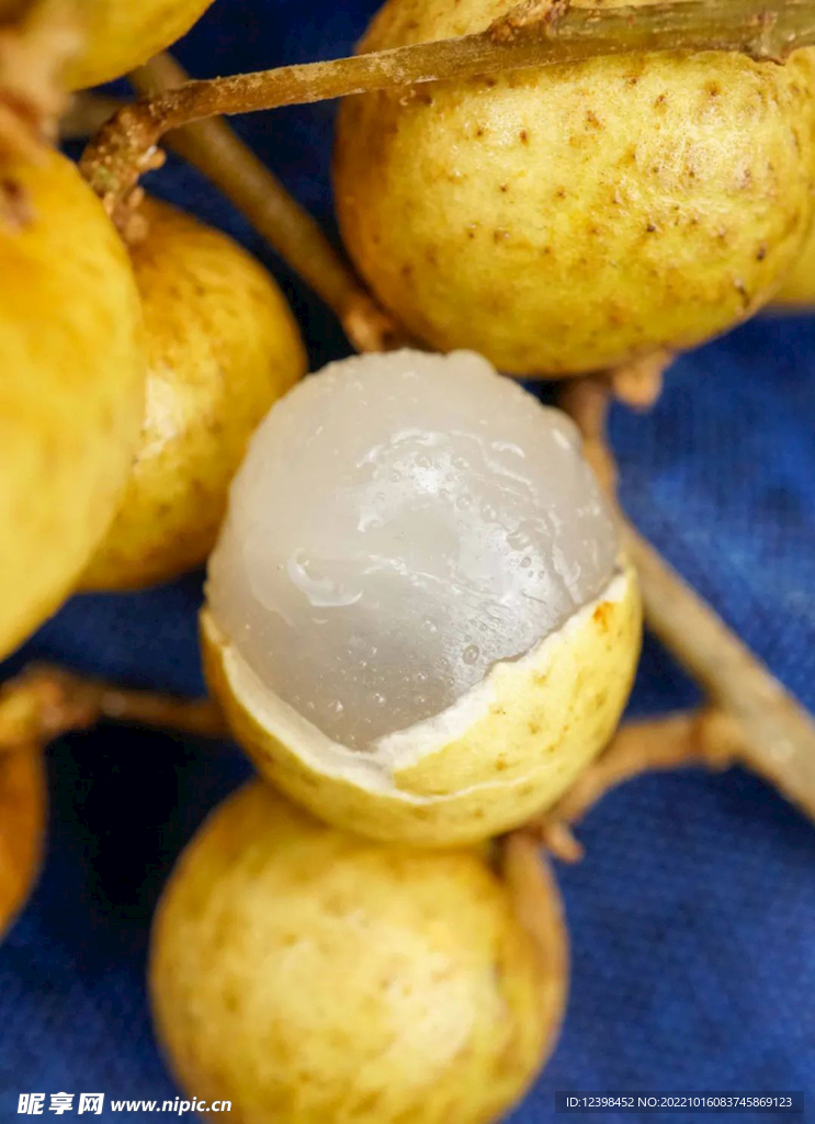 桂圆