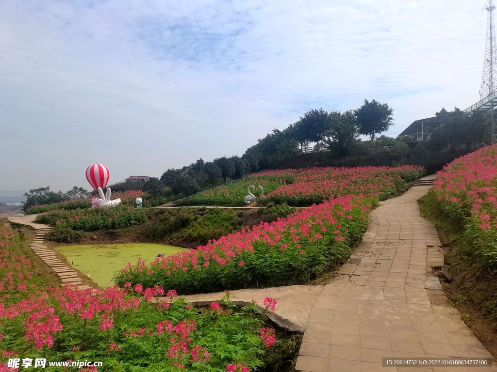 美丽的公园风景