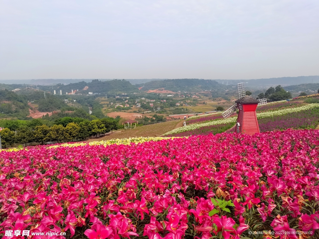 多彩花卉公园