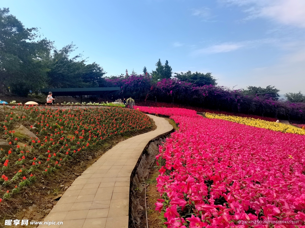 美丽的公园风景