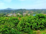 秋日里的大山风景