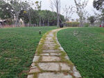 草地石板路