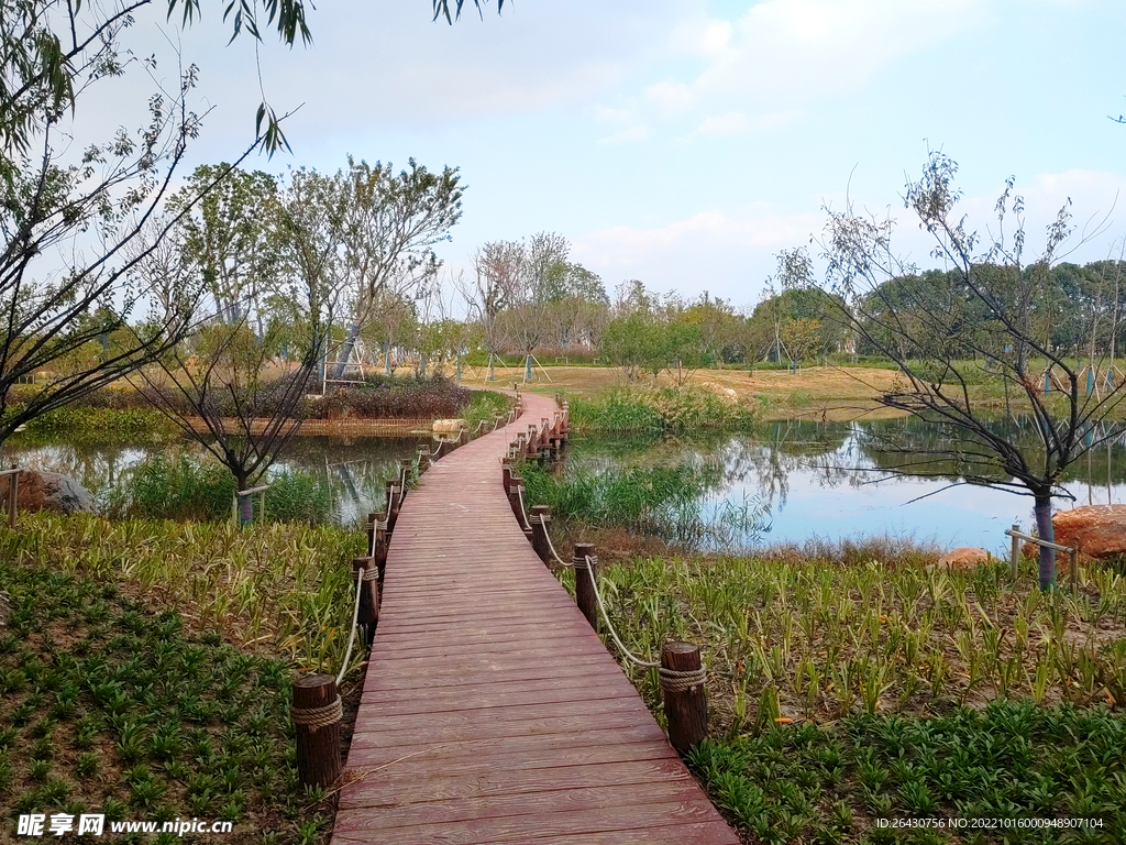 湿地公园木质健身步道