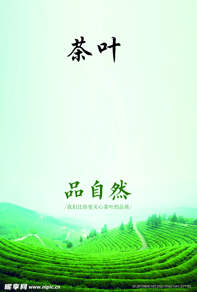 茶
