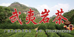 武夷岩茶背景