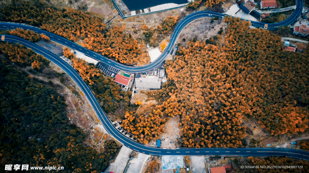 秋季森林道路
