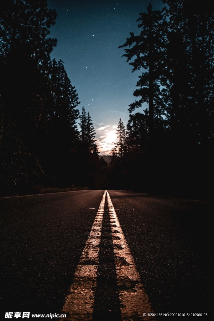 冬季森林道路