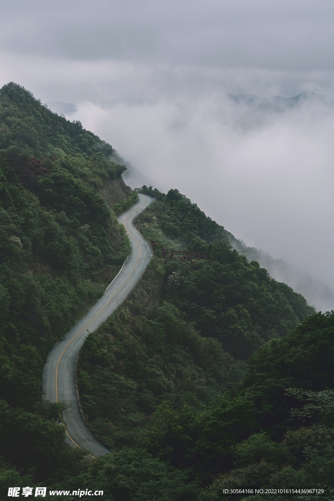 森林公路