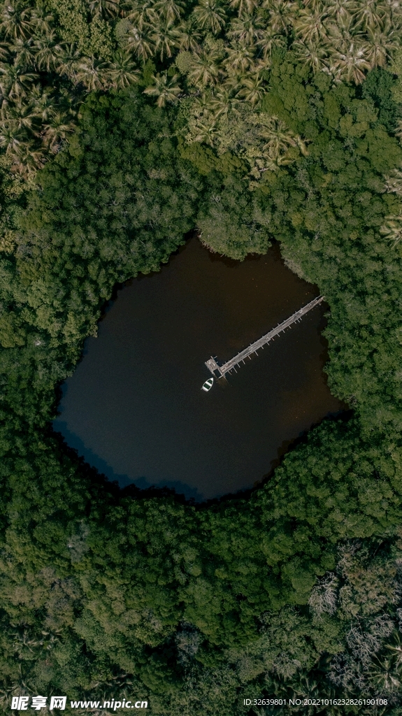 林间湖泊