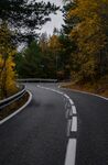 林间公路