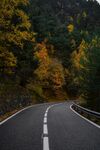 林间公路