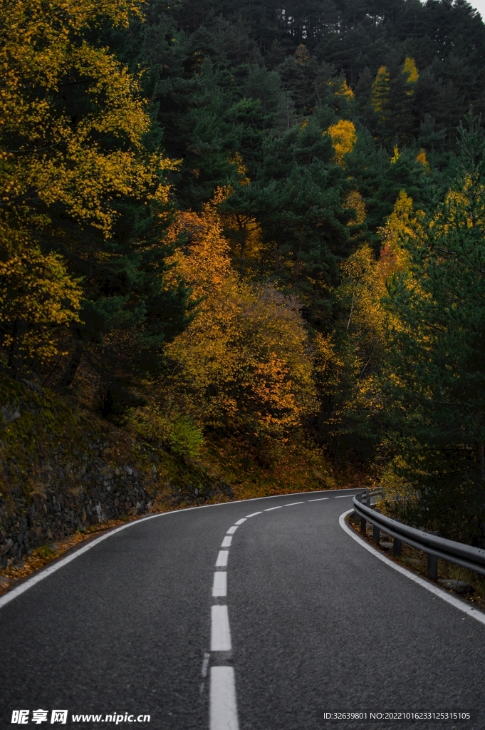 林间公路