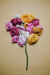 花束