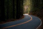 林间公路