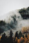 云雾山林