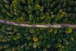 森林公路